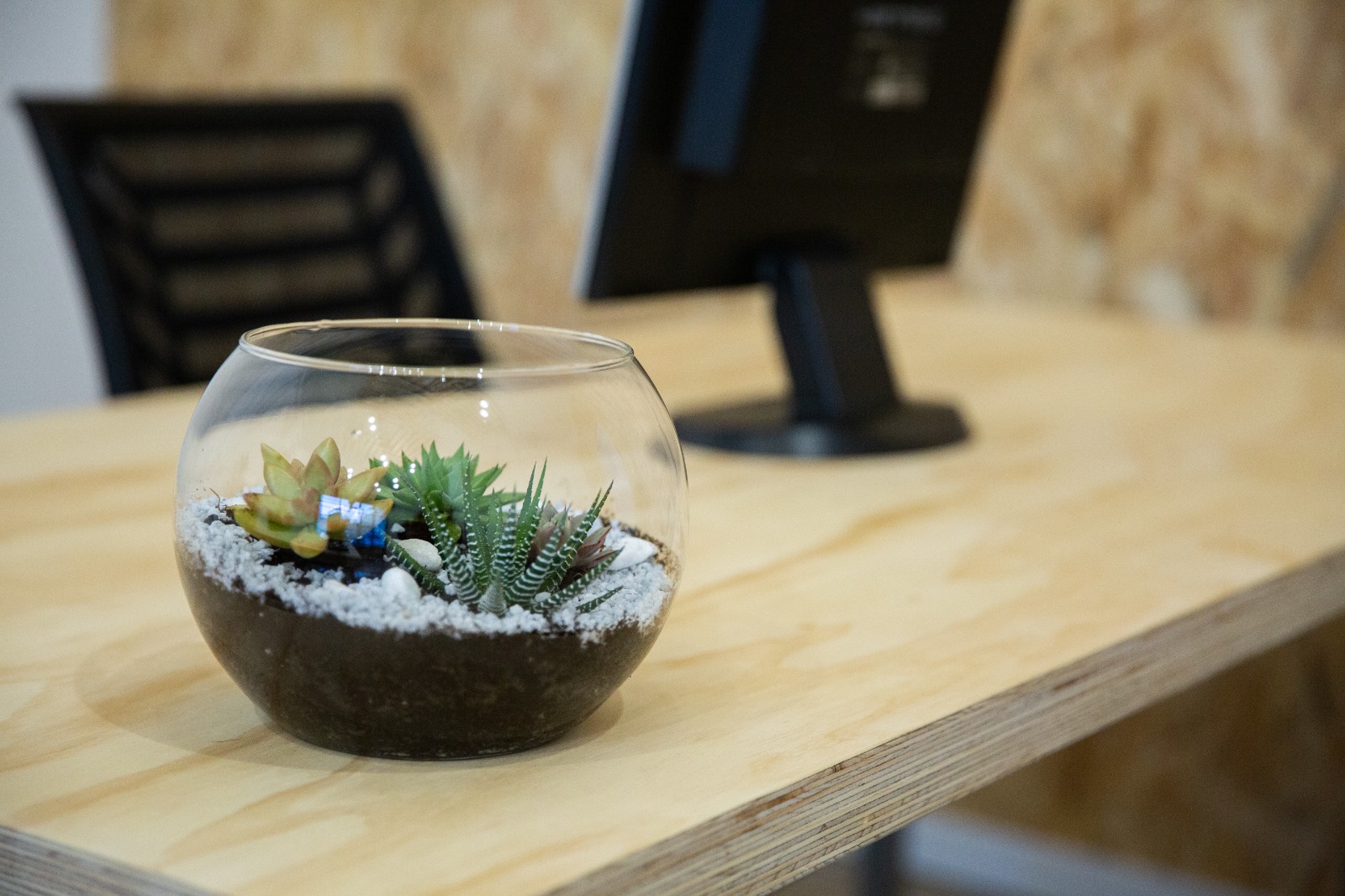Una persona de Felanitx no necessita un coworking