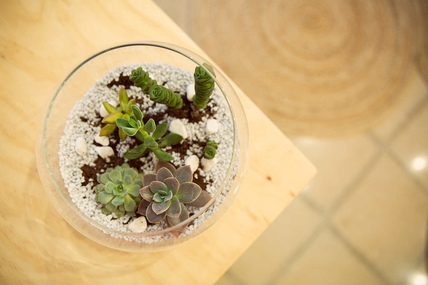 Plantes